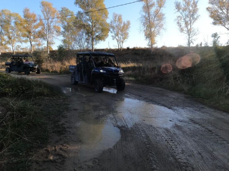 Salou: Kid's Buggy Driving Experience in Safe Environment - The Locations and Pick-up Points