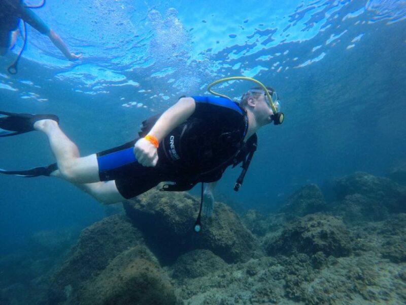 Salou: Scuba Diving for Beginners - Salou: Scuba Diving for Beginners – A Hands-On Introduction to the Underwater World
