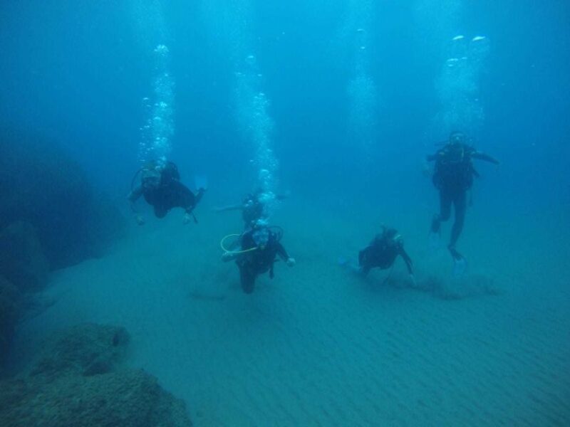 Salou: Scuba Diving for Beginners - Guides and Multilingual Support: Making You Feel Comfortable