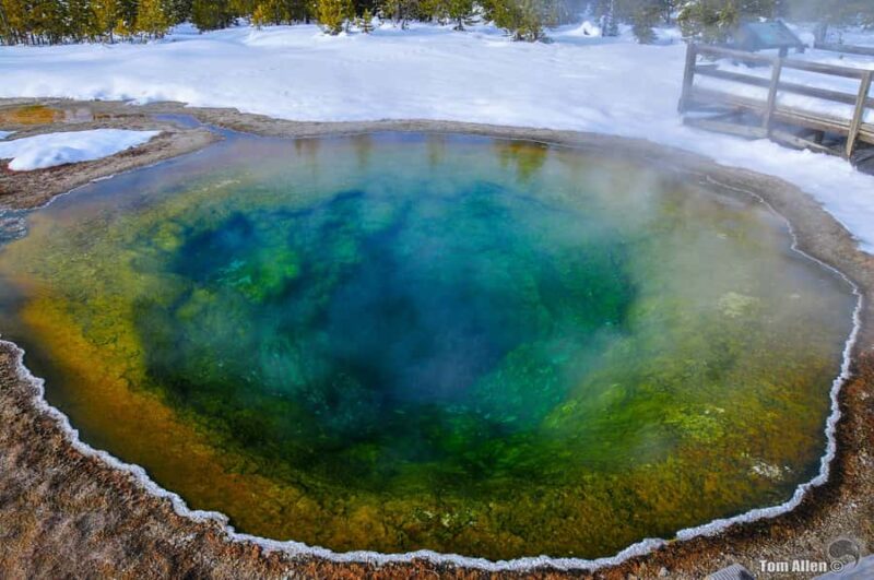 Salt Lake City: 4-Day Yellowstone & Grand Teton Winter Tour - Yellowstone’s Geothermal Wonders and Snow Coach Adventure