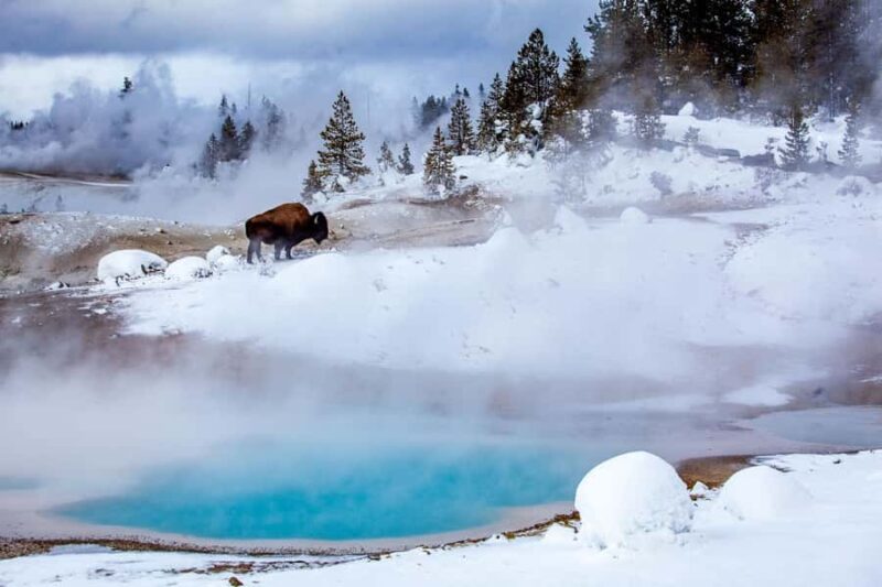 Salt Lake City: 4-Day Yellowstone & Grand Teton Winter Tour - The Experience Provider and Similar Tours