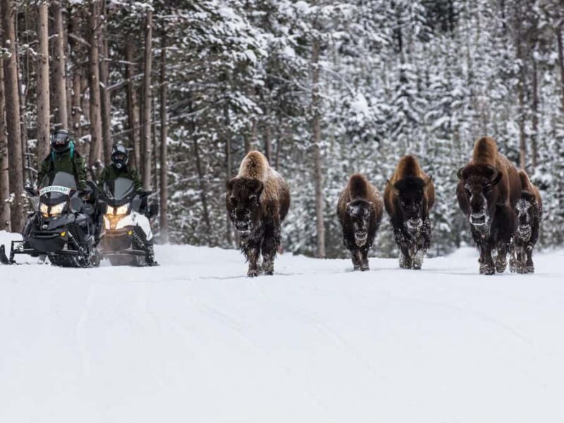 Salt Lake City: 4-Day Yellowstone & Grand Teton Winter Tour - Frequently Asked Questions