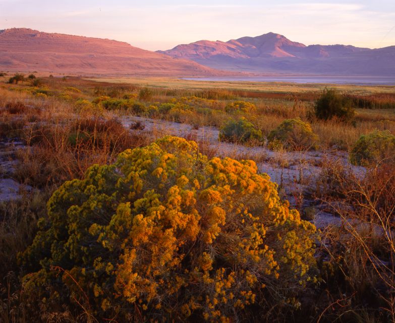 Salt Lake City: Great Salt Lake Antelope Island Guided Tour - Exploring Antelope Island’s Unique Landscape