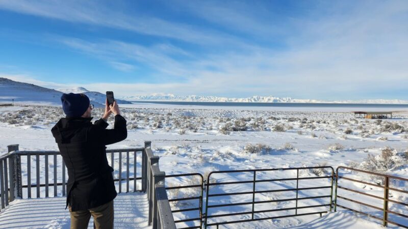 Salt Lake City: Great Salt Lake Antelope Island Guided Tour - Wildlife Watching on Antelope Island