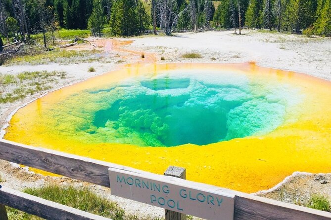 Salt Lake City to Yellowstone and Grand Teton 3 Day Tour - Logistics, Comfort, and Group Experience