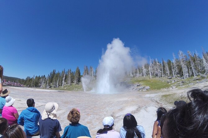 Salt Lake City to Yellowstone and Grand Teton 3 Day Tour - Guides and Reviews: Knowledgeable, Friendly, and Well-Organized
