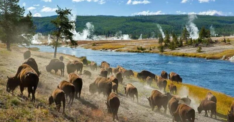 Salt Lake City: Yellowstone 3-Day Guided Trip with Hotels - Key Points