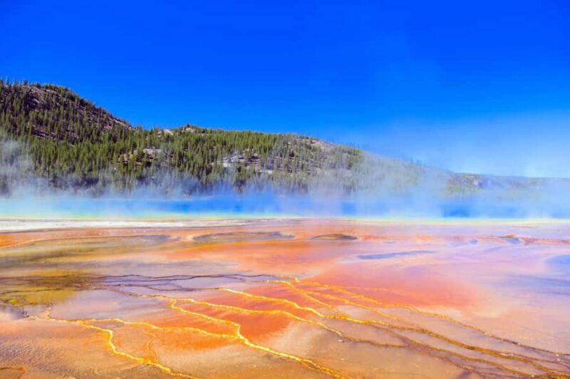 Salt Lake City: Yellowstone 3-Day Guided Trip with Hotels - Limitations and Considerations