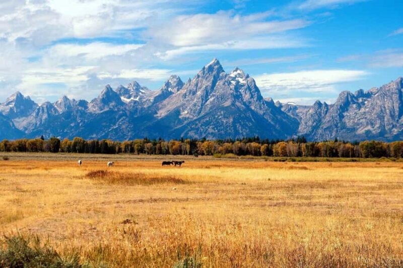 Salt Lake City: Yellowstone & Grand Teton 4-Day Tour - The Guide’s Role and Tour Pacing
