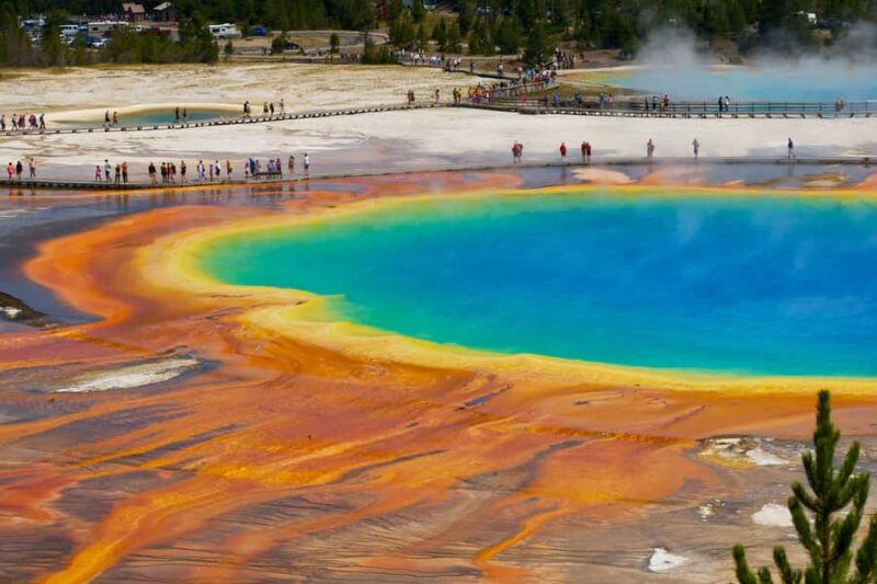 Salt Lake City: Yellowstone & Grand Teton 5-Day Tour - Wildlife Viewing and Scenic Landscapes