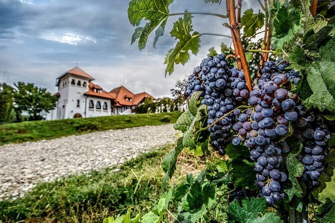 Salt Mine, Lunch at Winery and Dracula Grave - Private Tour - Who Will Appreciate This Tour Most?