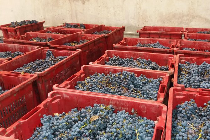 Salt Mine, the Muddy Volcanoes and Wine Tasting Private Day Tour from Bucharest! - Expert Guides and Private Transport