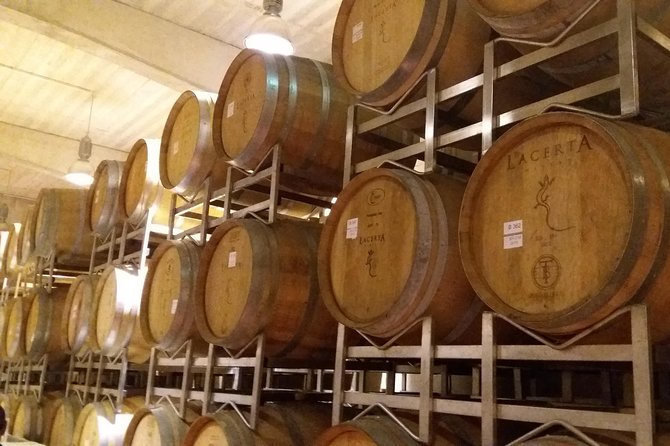 Salt Mine, the Muddy Volcanoes and Wine Tasting Private Day Tour from Bucharest! - Exploring Romania’s Underground and Natural Marvels in Comfort