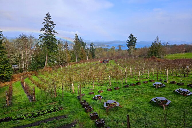 Salt Spring Island "Artisan Trail" Hop On Hop Off Tour! - Salt Spring Brewing Co.: Craft Beer in Nature