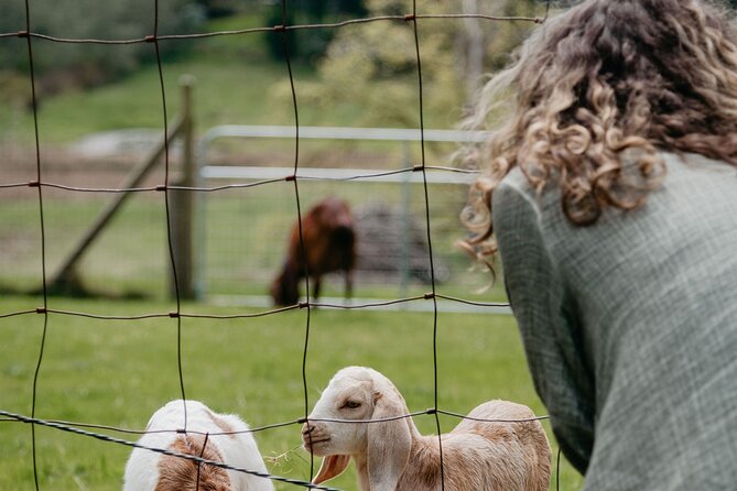 Salt Spring Island "Artisan Trail" Hop On Hop Off Tour! - Practical Details and Booking