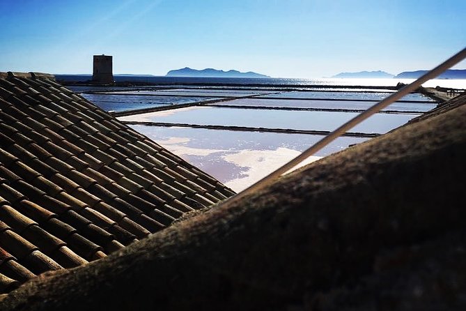 SALT TOUR-all inclusive: salt tour: Trapani, Paceco, Nubia - Discovering the Salina Calcara and Birdlife