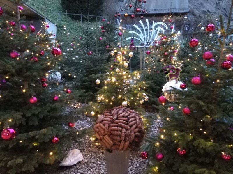 Salzburg City & Singing Christmas Tour in English - Insights Into Salzburg’s Christmas Traditions and Decorations