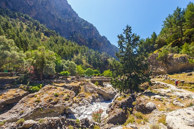 Samaria Gorge from Chania with Professional Hiking Guide - Practical Details: What’s Included and What to Budget For