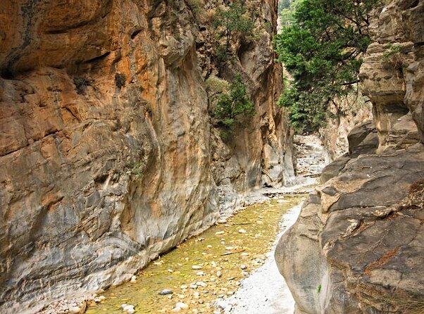 Samaria Gorge Hiking from Chania with proffesional hiking guide - Practical Tips for the Hike