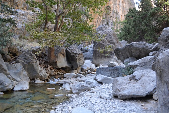 Samaria Gorge Hiking Tour from Chania with Professional Guide - Transportation and Logistics
