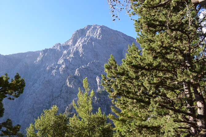 Samaria Gorge Hiking Tour from Chania with Professional Guide - Physical Requirements and Recommendations