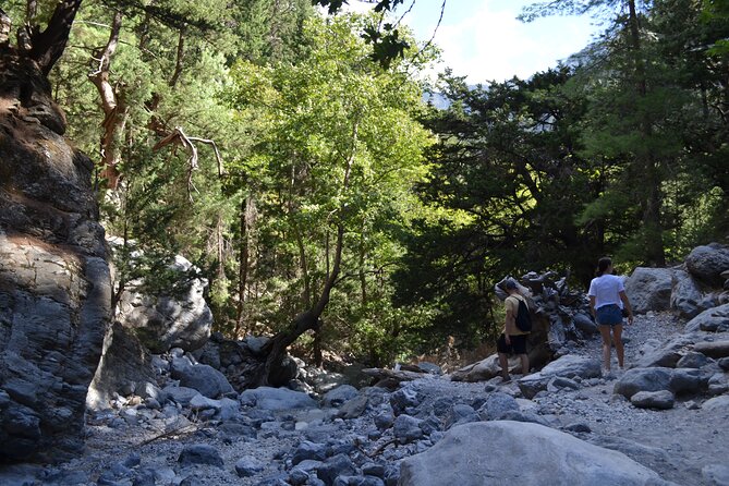 Samaria Gorge Hiking Tour from Chania with Professional Guide - The Guide and Overall Experience