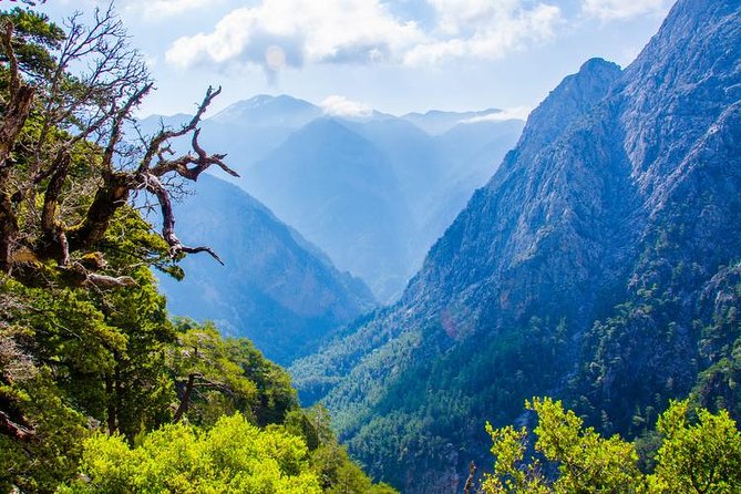 Samaria Gorge Tour from Chania - The Longest Gorge in Europe - Practical Details: Transportation and Timing