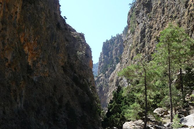 Samaria Gorge Trek: Full-Day Excursion from Rethymno with Guide - Physical Requirements and Recommended Gear