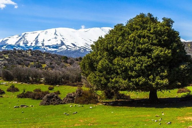 Samaria Long Way from Rethymno - Pickup and Transportation: Starting the Adventure