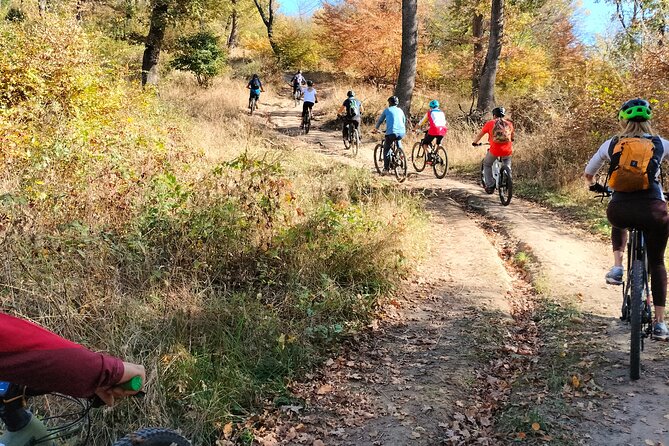 Sambata de Sus: E-Bike Guided Tours - Explore the Charm of Sambata de Sus on an E-Bike Adventure