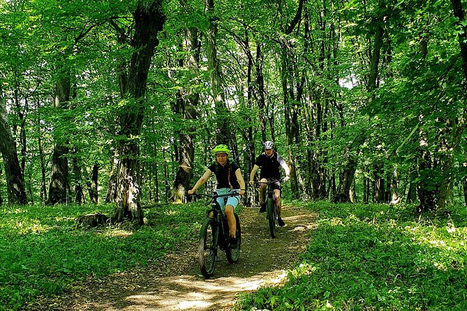 Sambata de Sus: E-Bike Guided Tours - Key Points