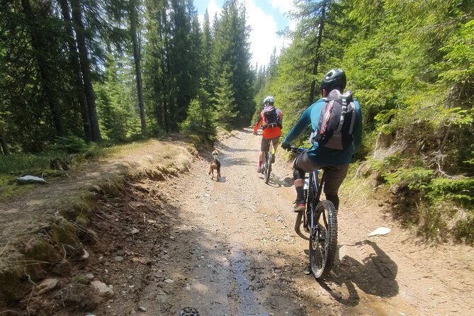 Sambata de Sus: E-Bike Guided Tours - Pacing and Physical Requirements