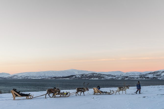 Sami Culture and Short Reindeer Sledding from Tromso - Inside the Lavuu: Sami Food and Cultural Performances