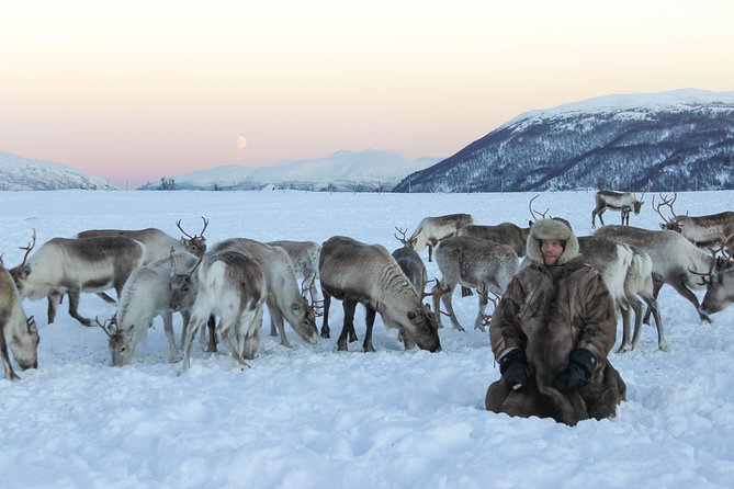 Sami Culture and Short Reindeer Sledding from Tromso - Sami Stories, Songs, and Cultural Insights