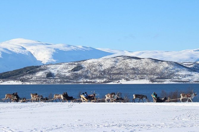 Sami Culture and Short Reindeer Sledding from Tromso - Weather and Activity Cancellations