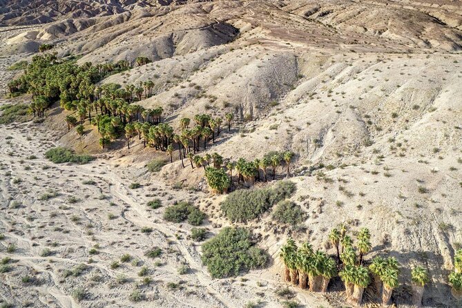 San Andreas Fault Jeep Tour from Palm Desert - Explore California’s San Andreas Fault on a Small-Group Jeep Adventure