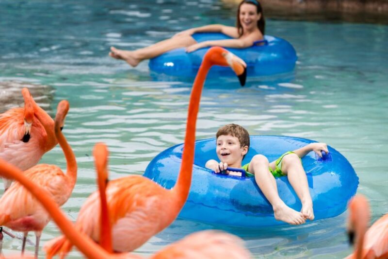 San Antonio: Aquatica Skip-the-Line Park Admission Ticket - Park Facilities and Amenities