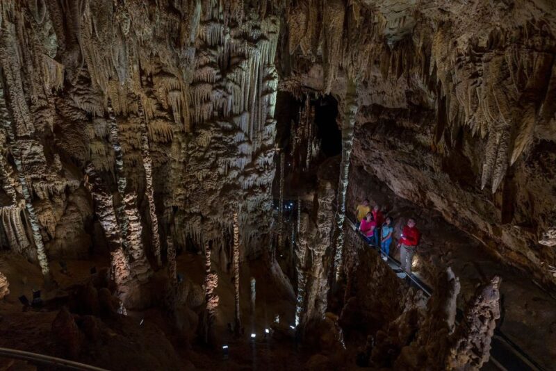 San Antonio: Discovery Tour at Natural Bridge Caverns - Highlights of the Caves Unique Features