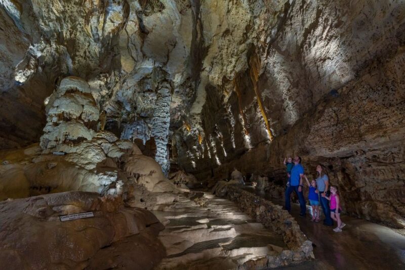 San Antonio: Discovery Tour at Natural Bridge Caverns - Who Will Enjoy This Tour Most