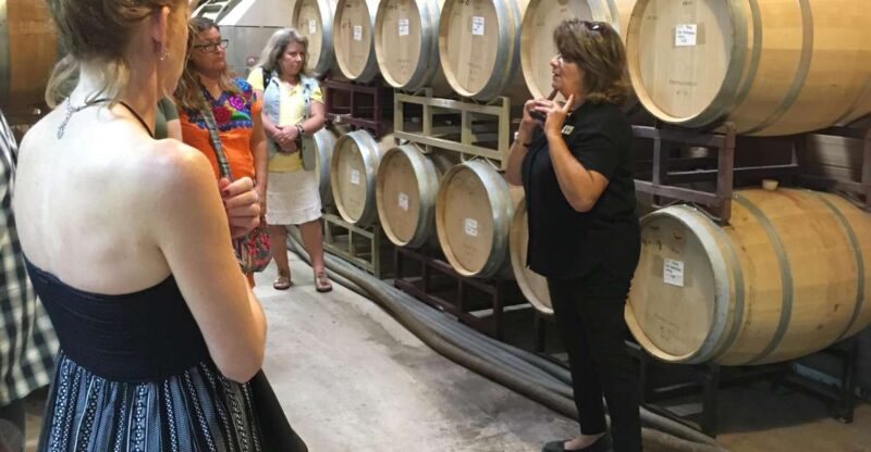 San Antonio: Fredericksburg Wineries Day Trip with Tastings - Discover Texas Wine Country on a Fredericksburg Wineries Day Trip from San Antonio