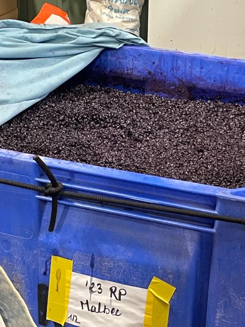 San Antonio: Fredericksburg Wineries Day Trip with Tastings - Practical Details and Logistics