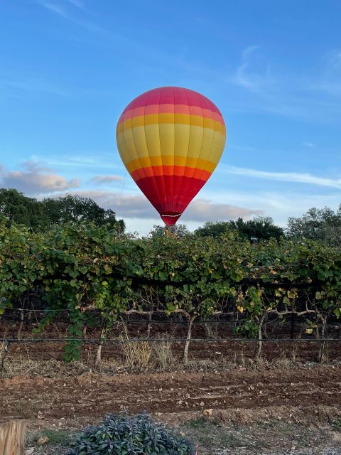 San Antonio: Fredericksburg Wineries Day Trip with Tastings - The Experience Provider: Cottonwood Wine Tours