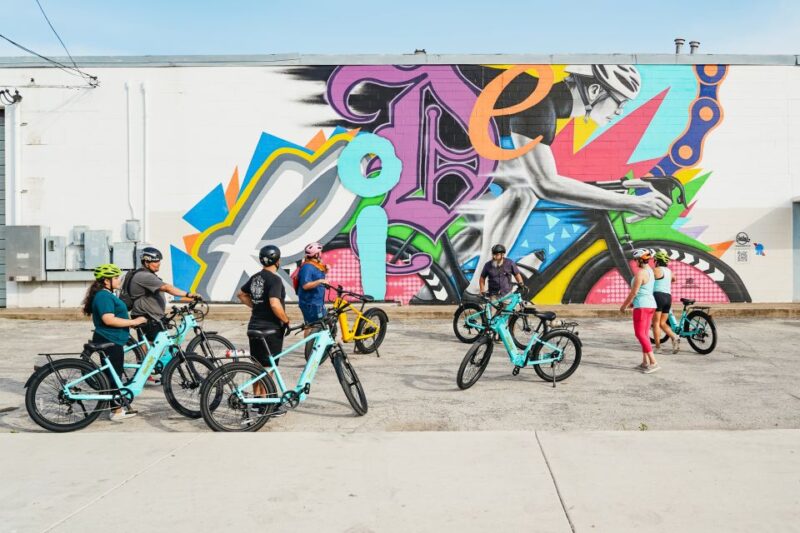 San Antonio: Murals & Hidden Gems E-Bike Tour - Who Will Appreciate This Tour Most