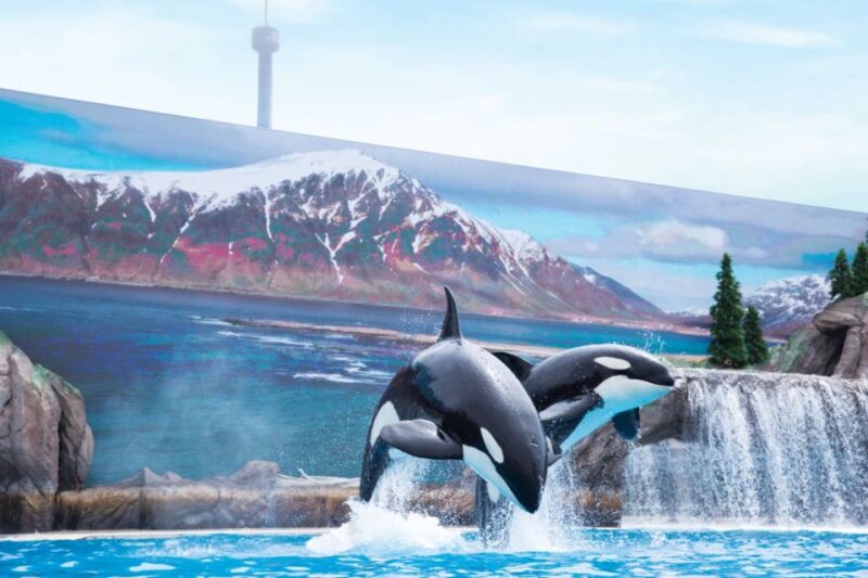 San Antonio: SeaWorld Skip-the-Line Park Admission Ticket - Key Points