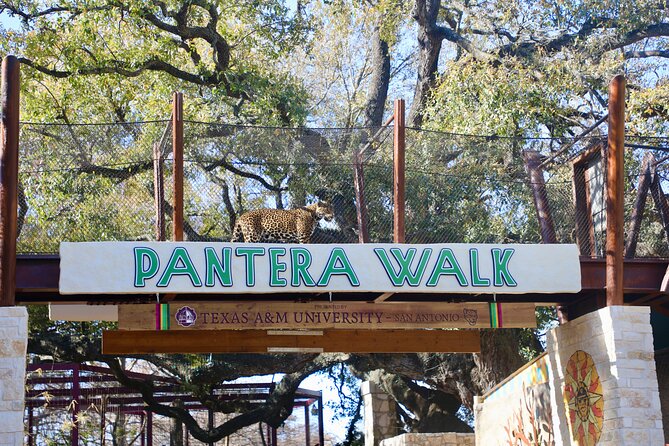 San Antonio Zoo General Admission Ticket - Daily Animal Talks and Educational Opportunities