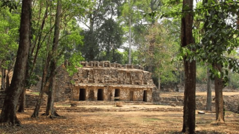San Cristobal: 3 Days Expedition of North Lacandona Jungle - Navigating the Usumacinta River to Yaxchilán