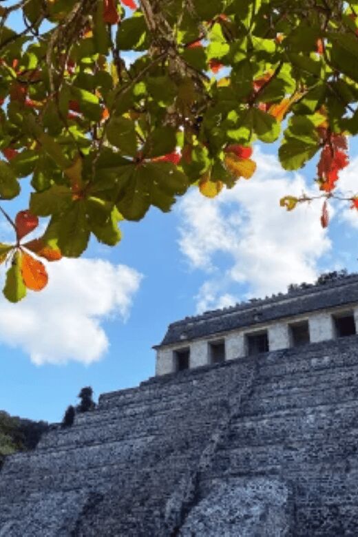 San Cristobal: 3 Days Nature Tour Southern Selva Lacandona - What Sets This Tour Apart from Others