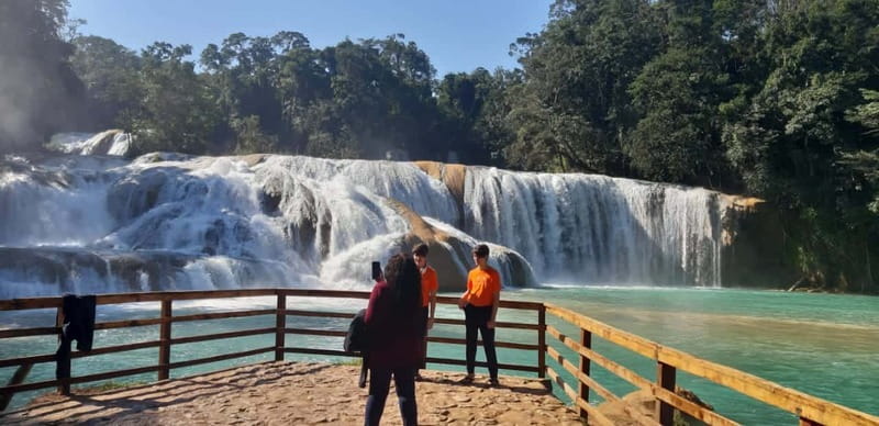 San Cristobal: Agua Azul, Misol Ha & Palenque Experience - Key Points