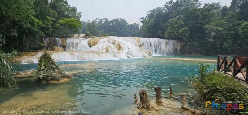 San Cristobal: Agua Azul, Misol Ha & Palenque Experience - Visiting Misol-Ha Waterfall: A Majestic Cascade