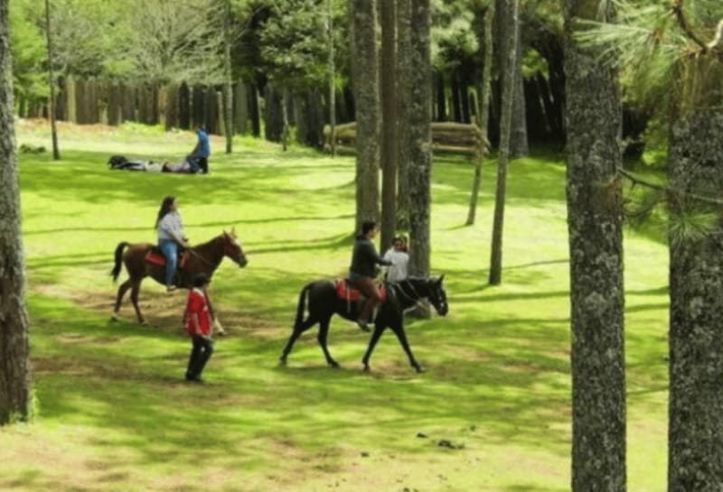 San Cristóbal: Arcotete Ecotourism Park & Rancho Nuevo Caves - Visiting Rancho Nuevo Caves: A Deep Dive into Natural Formations